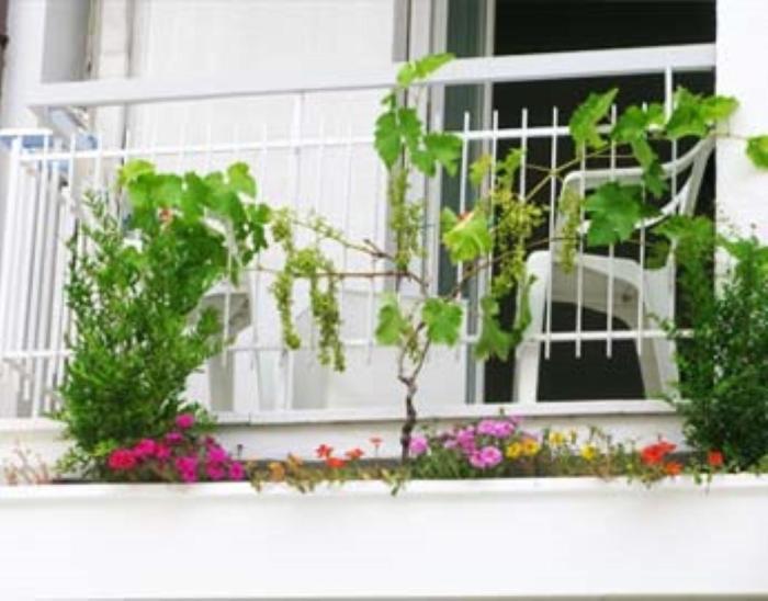 B&B Residence Sorriso Cattolica Extérieur photo